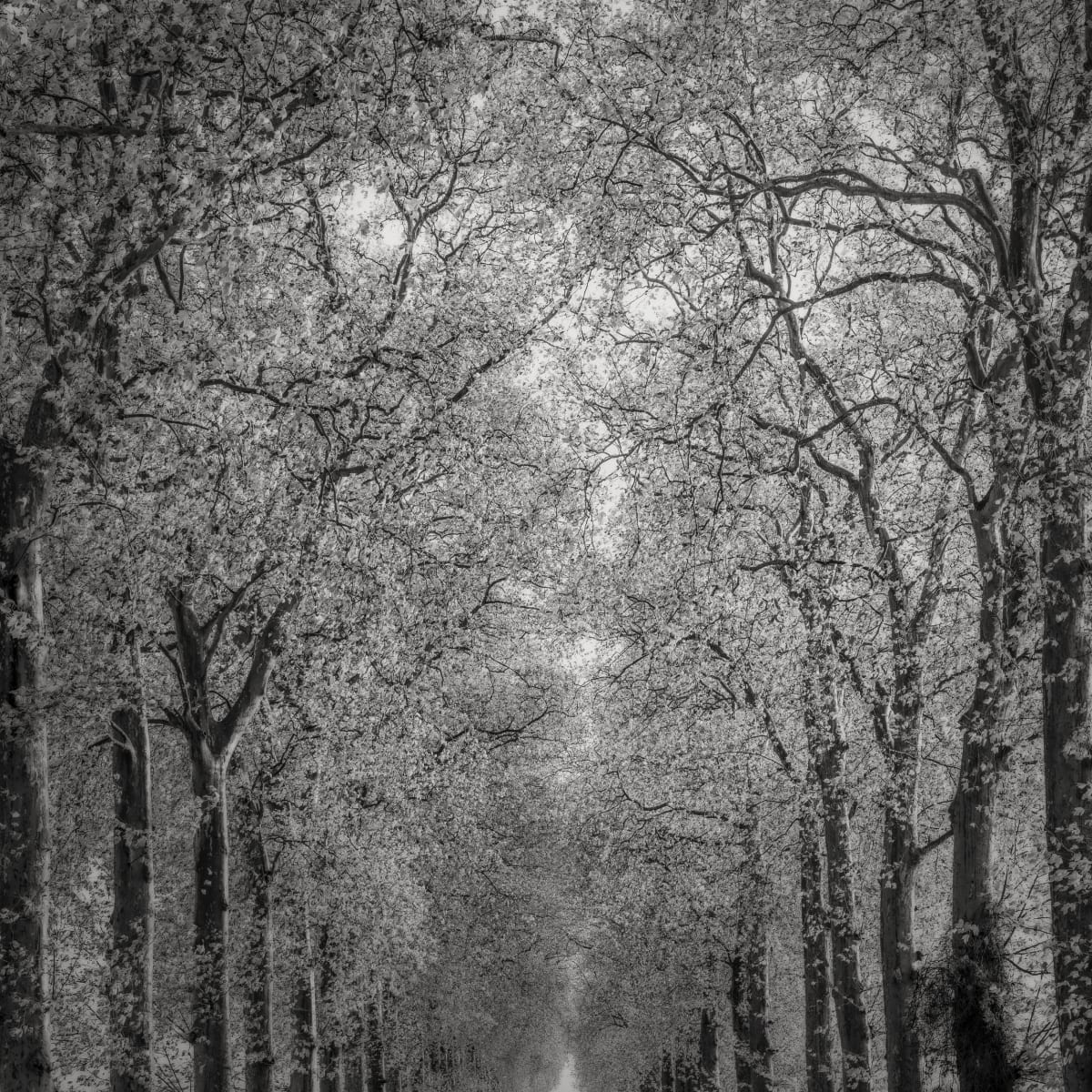 Jeffrey Conley - Works | Bildhalle
