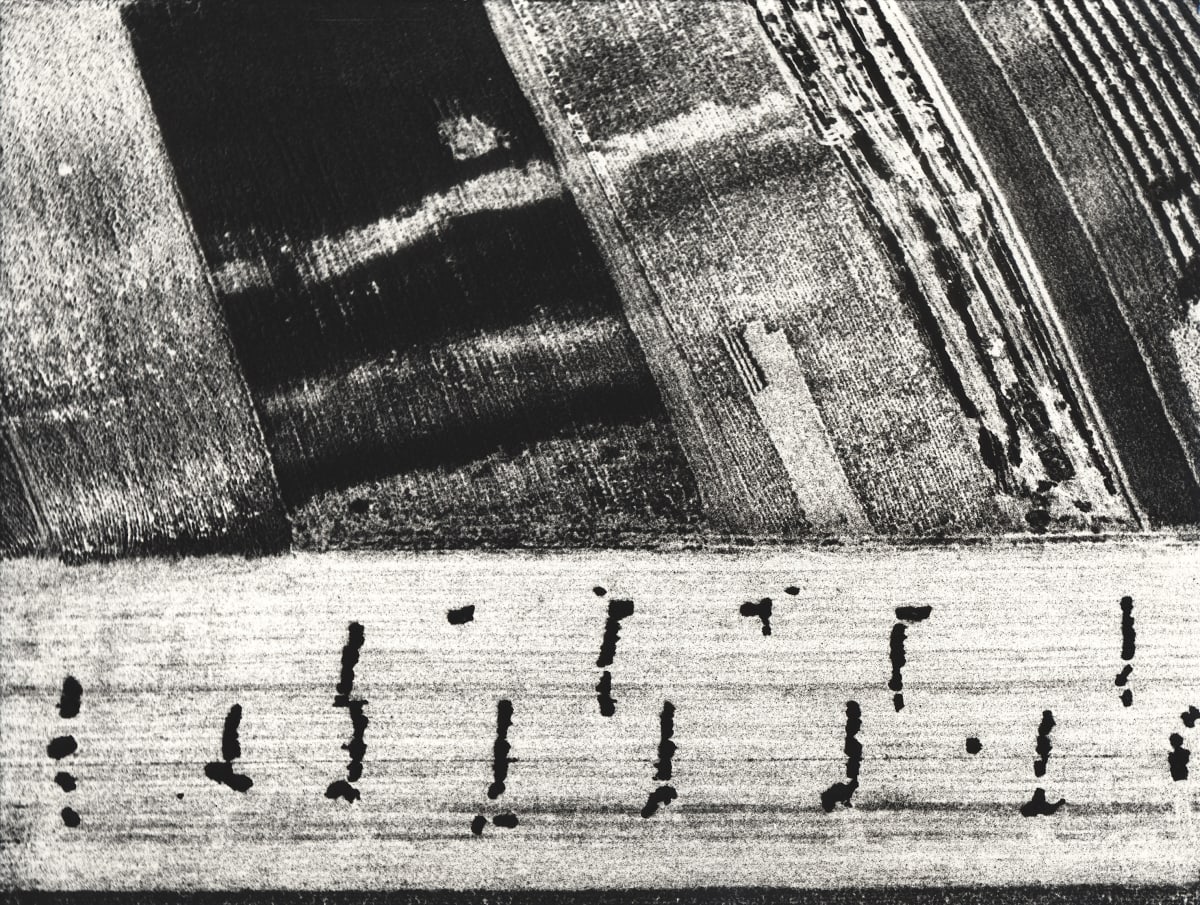 アート・デザイン・音楽 Mario Giacomelli Under the Skin of Mario Giacomelli | MoMA
