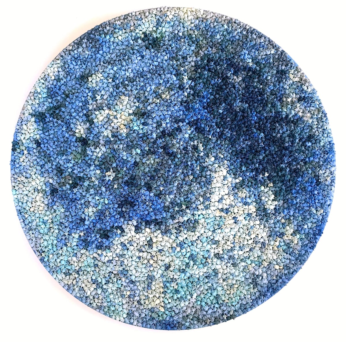 Seunghwui Koo | BLANK SPACE