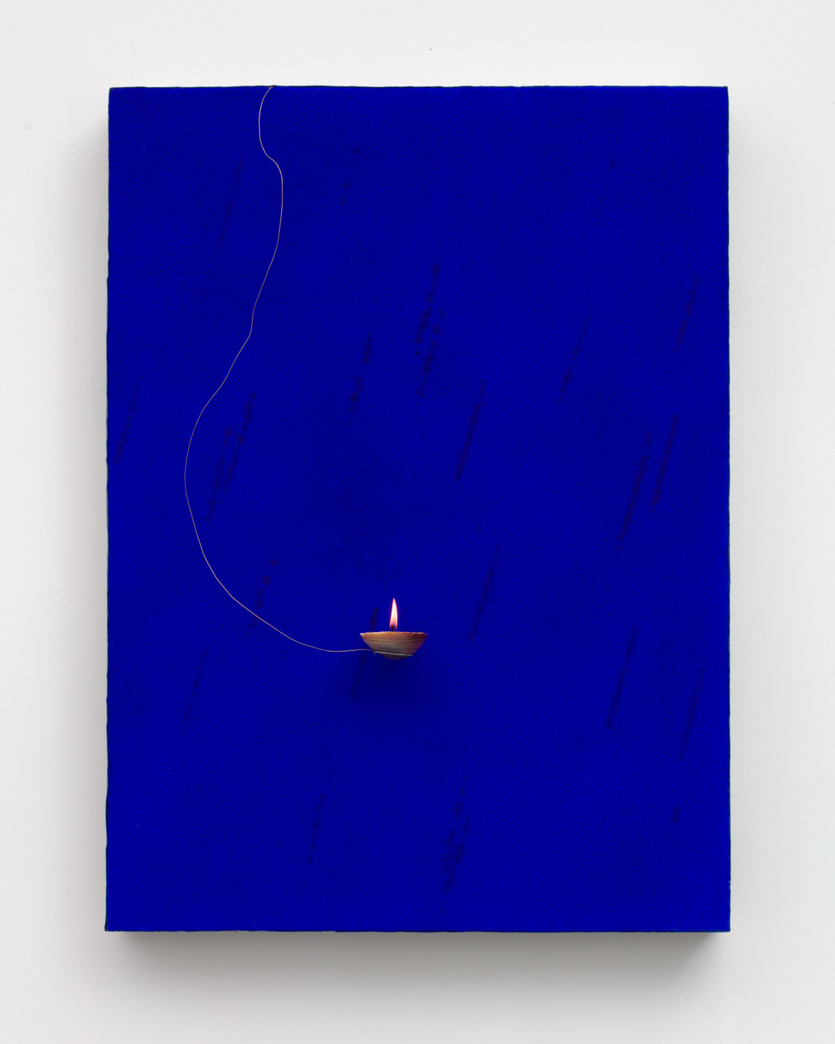 激安の Works Butterfly a as Painting | Calzolari Paolo Pier - 芸術、美術史