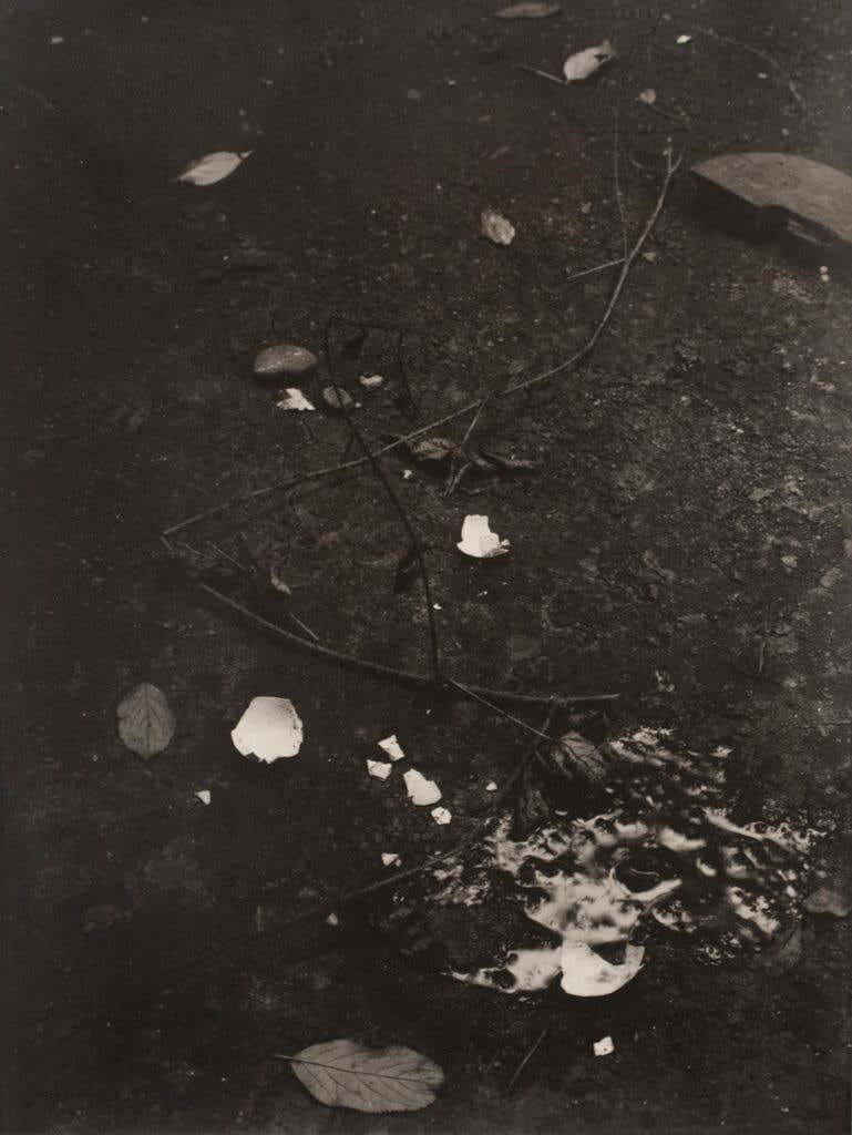 Josef Sudek | Bruce Silverstein