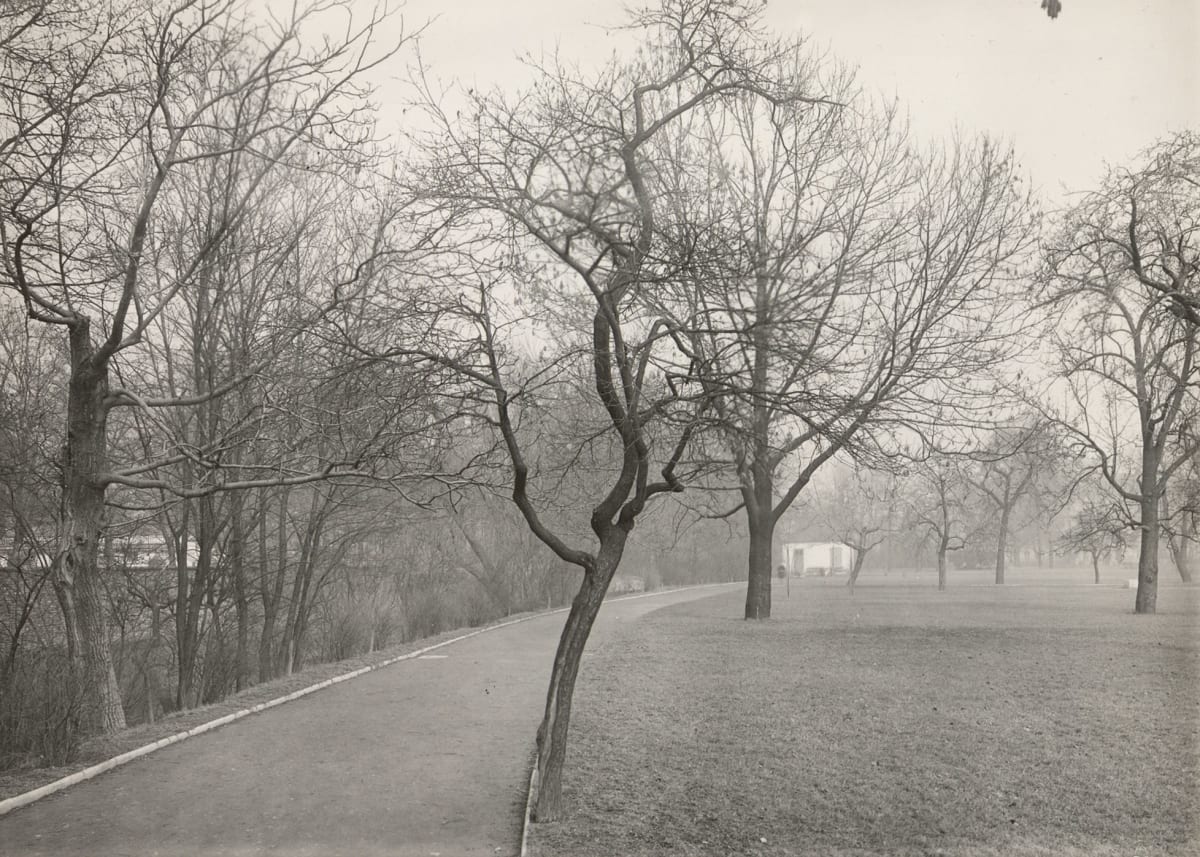 Josef Sudek | Bruce Silverstein