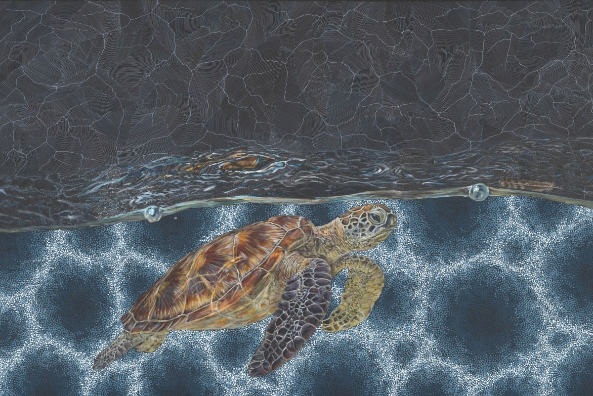 Turtle, 2025