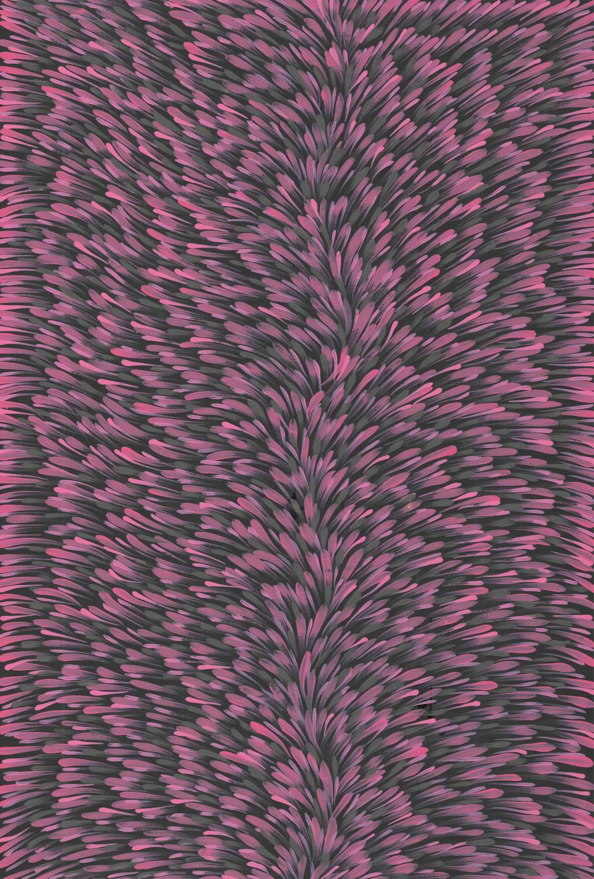 Medicine Leaves, 2020