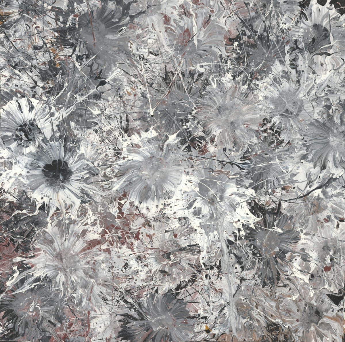Wild Fields, 2016