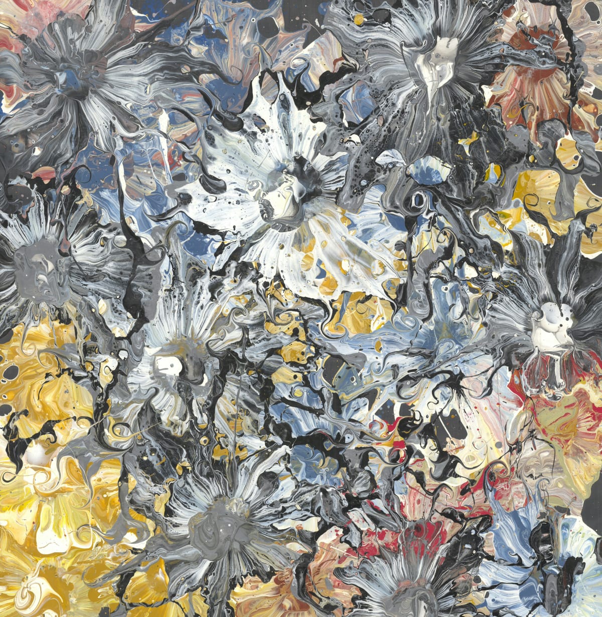 Wild Fields, 2017