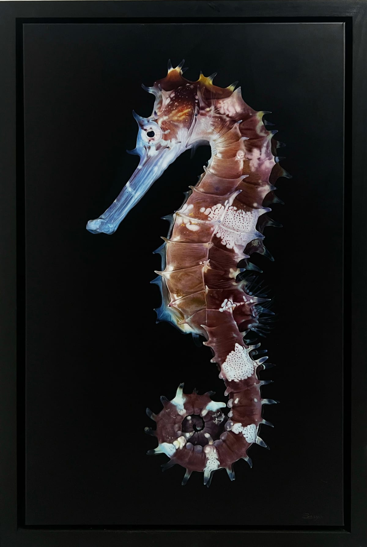 Sea Horse, 2022