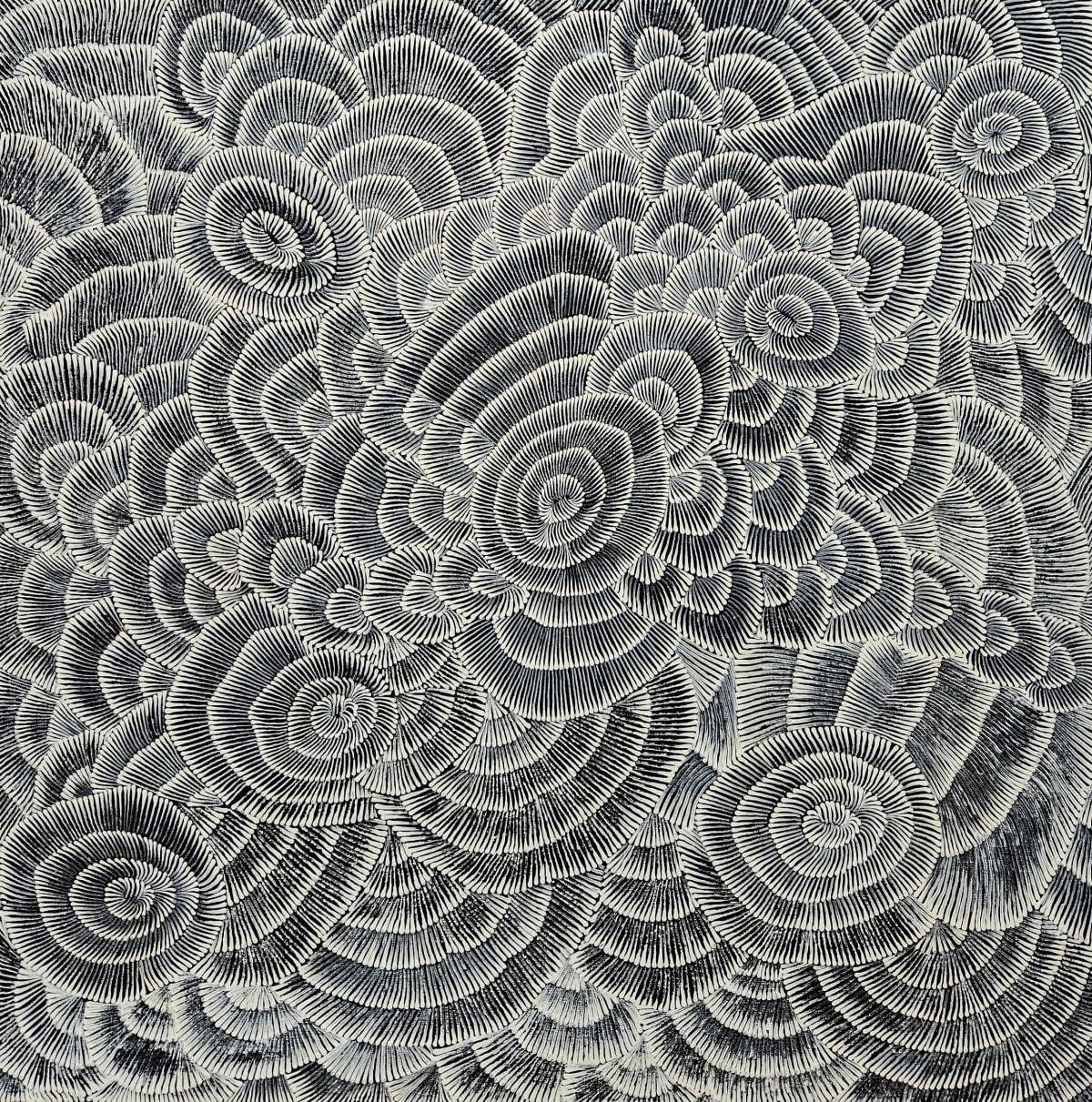 Enteebra - Delmore, 2000
