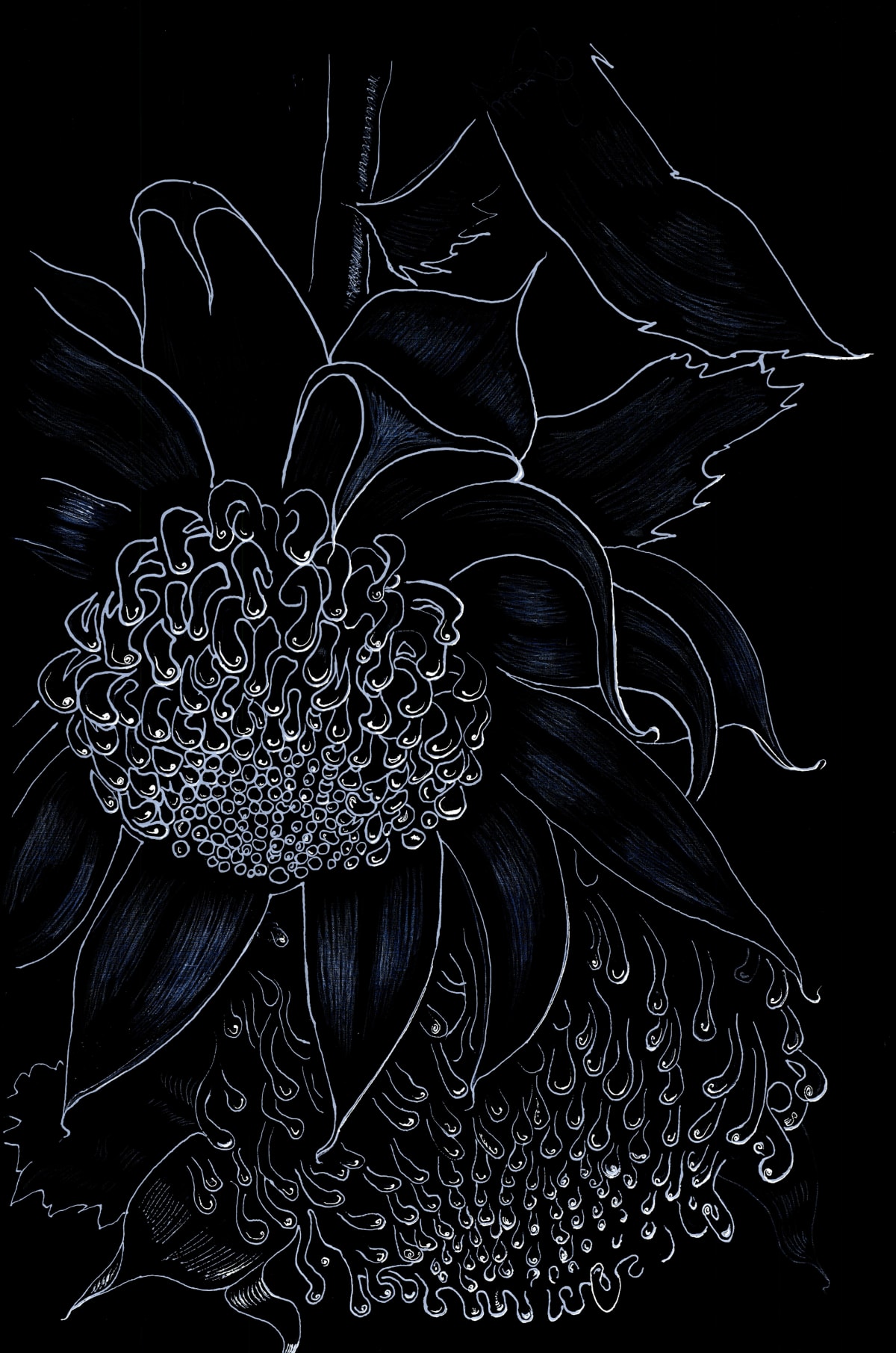 Untitled, 2019