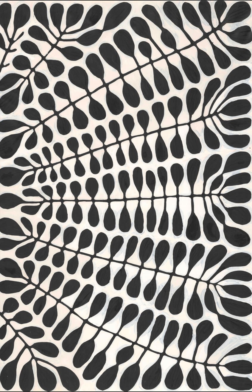 Watiya Tjuta-Mulga Trees, 2024