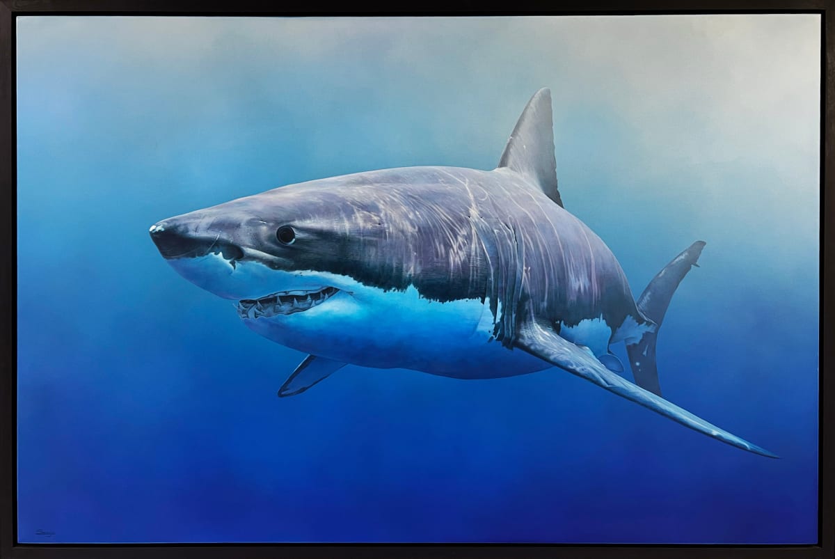 Shark, 2022