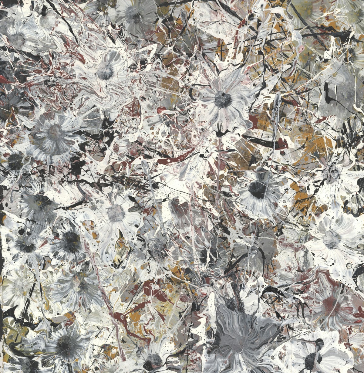 Wild Fields, 2016