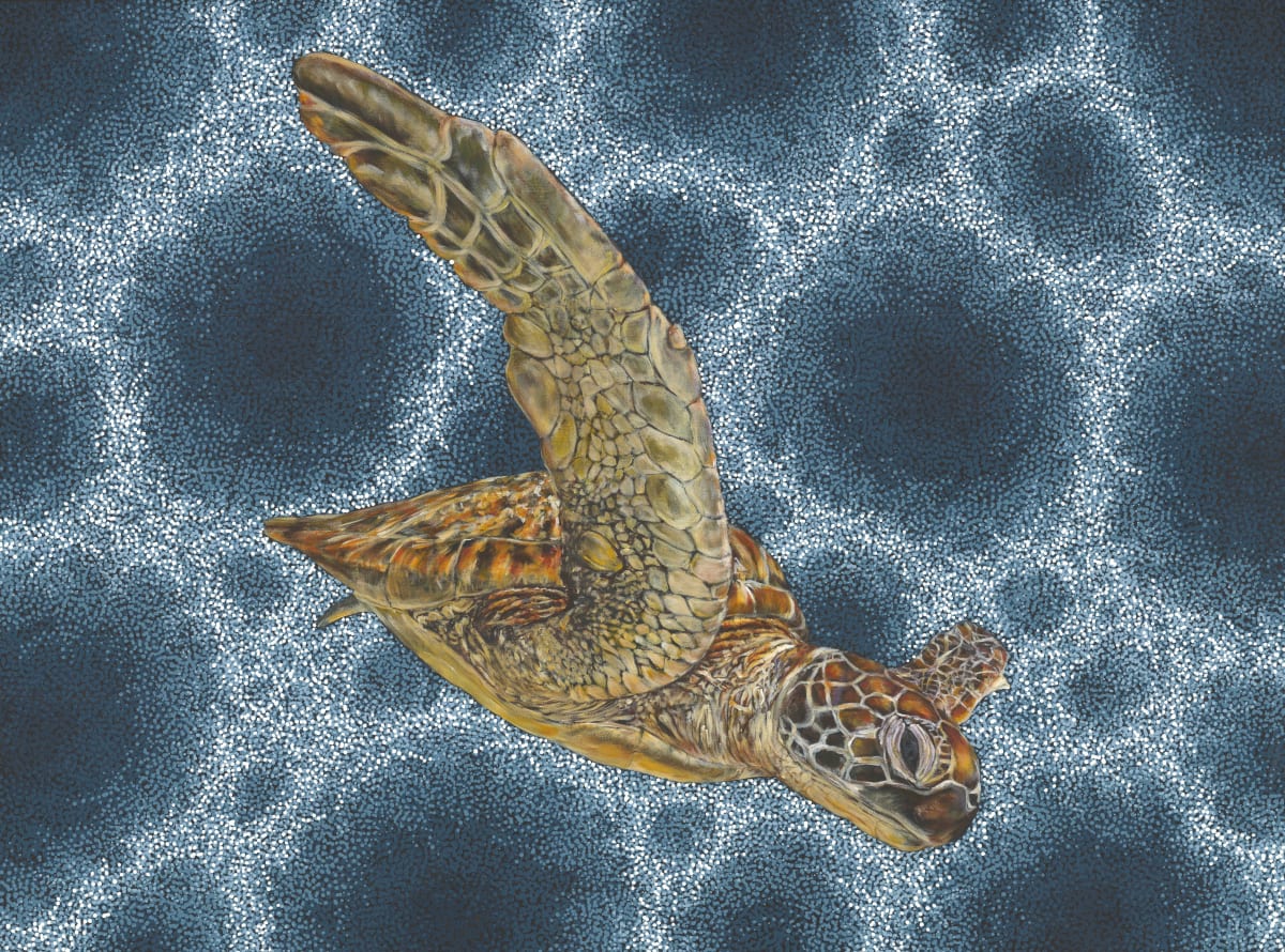 Turtle, 2025