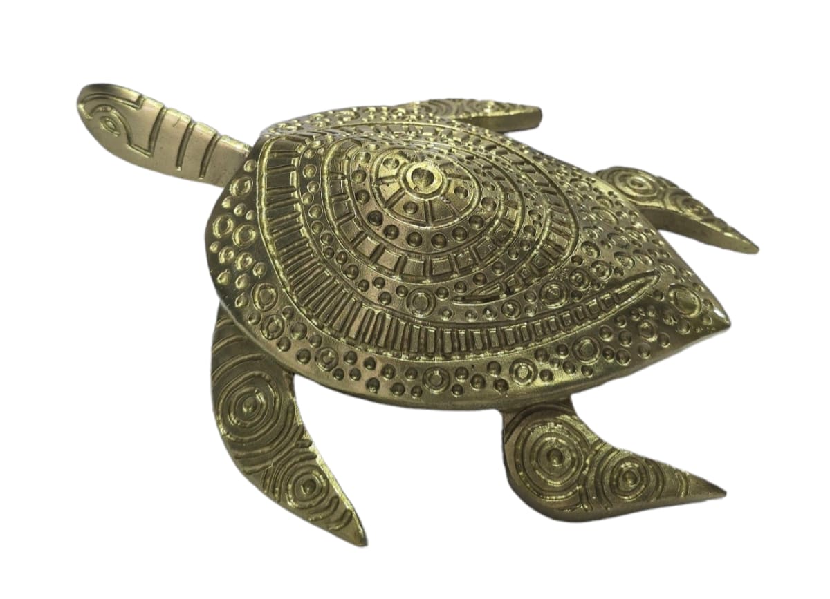 Turtle, 2024