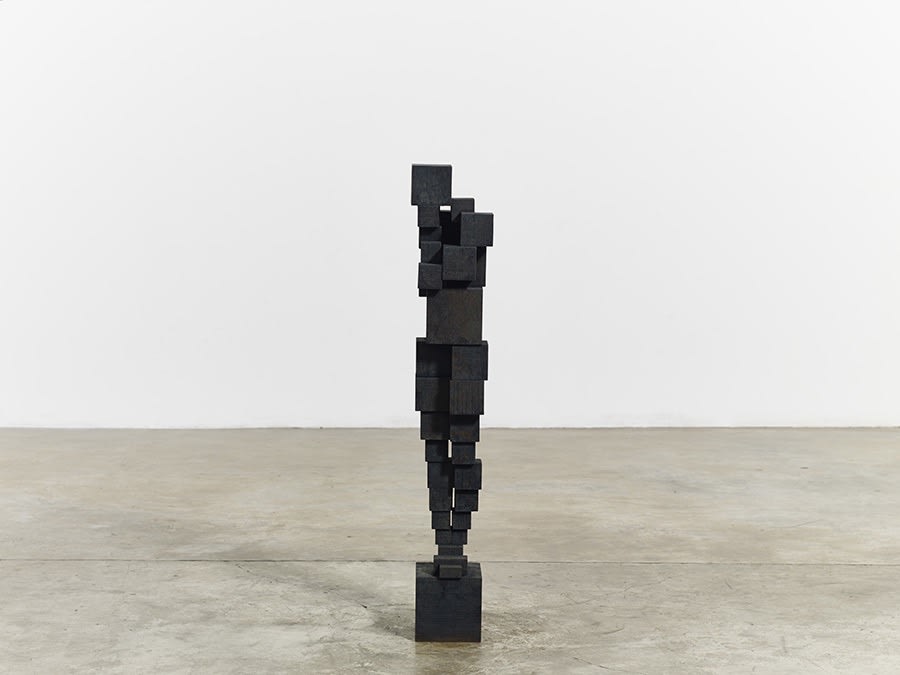 アート・デザイン・音楽 Antony Gormley Antony Gormley 'Ground' and 'Drawing on Space' at Museum SAN