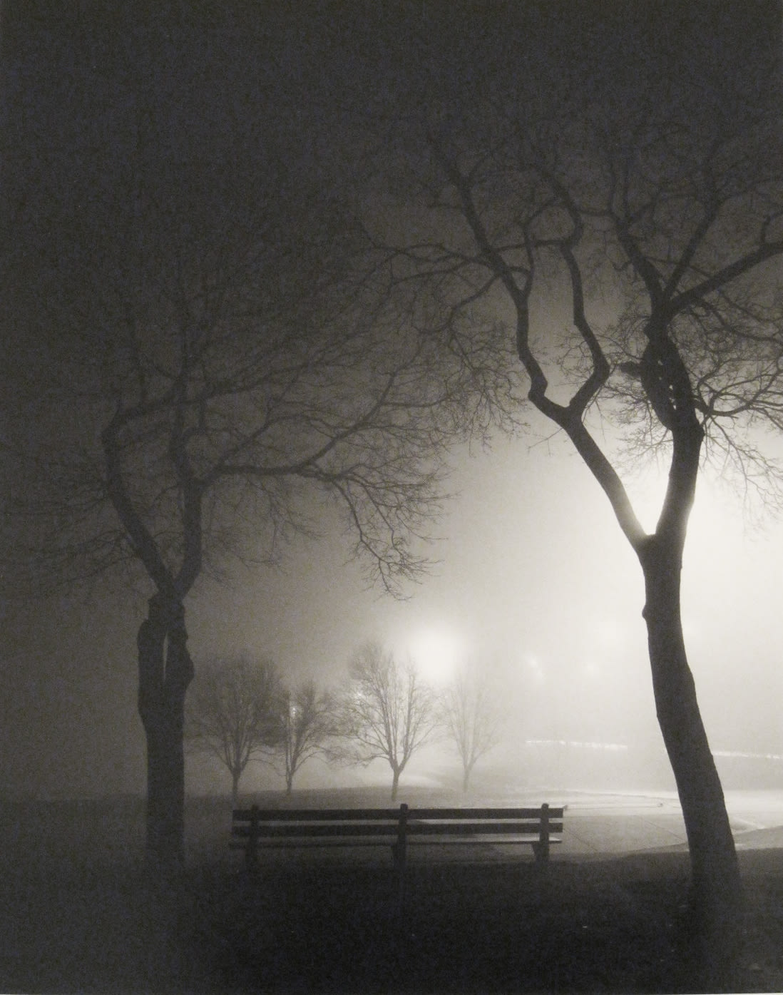 Alex Fradkin Park Bench At Night Chicago Art Source