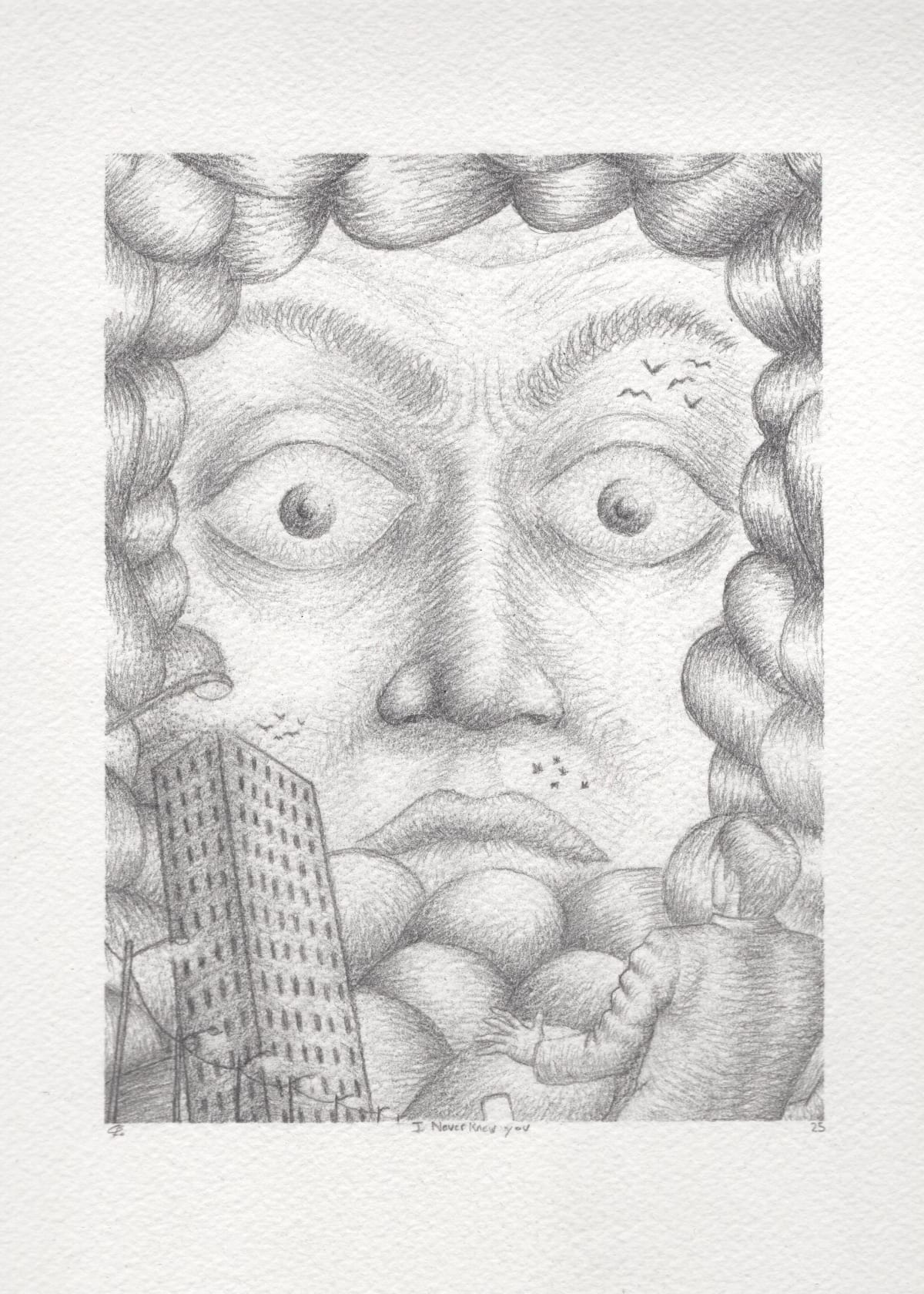 I Never Knew You, 2025