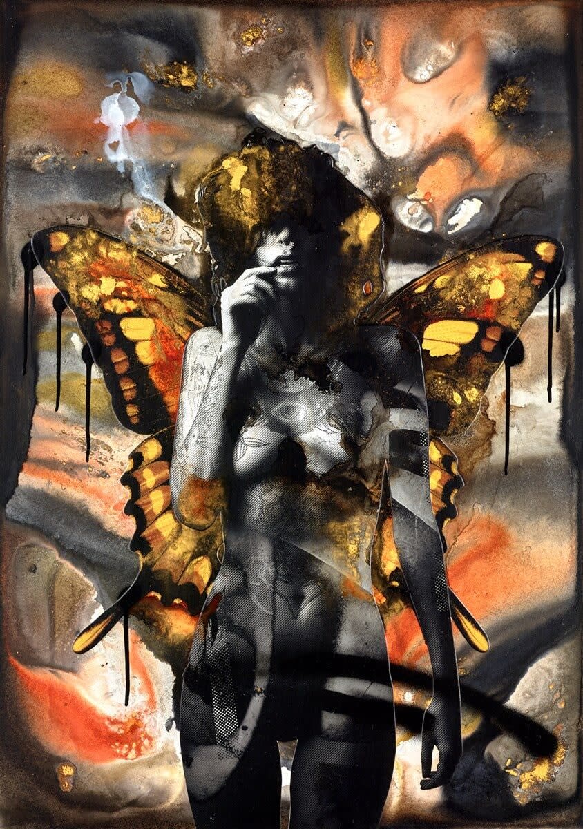 Painted Lady, 2024