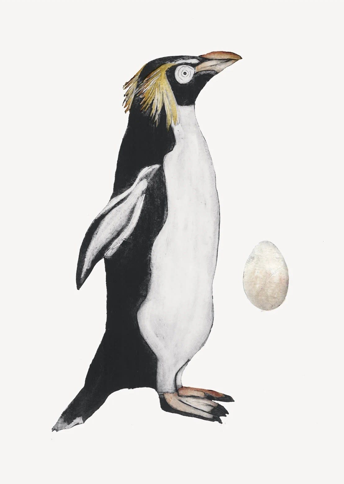 Beatrice Forshall Northern Rockhopper Penguin Unframed