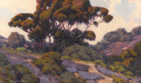 Jim Lamb Back Country Eucalyptus 2011 Dawson Cole Fine Art