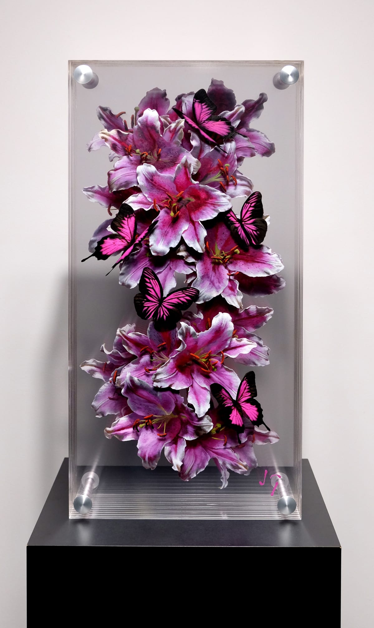 Flower Room Motherwell Phone Number Best Flower Site