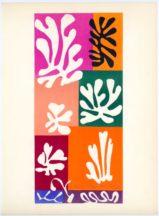 Henri Matisse, Fleurs de neige, 1958 | Dellasposa