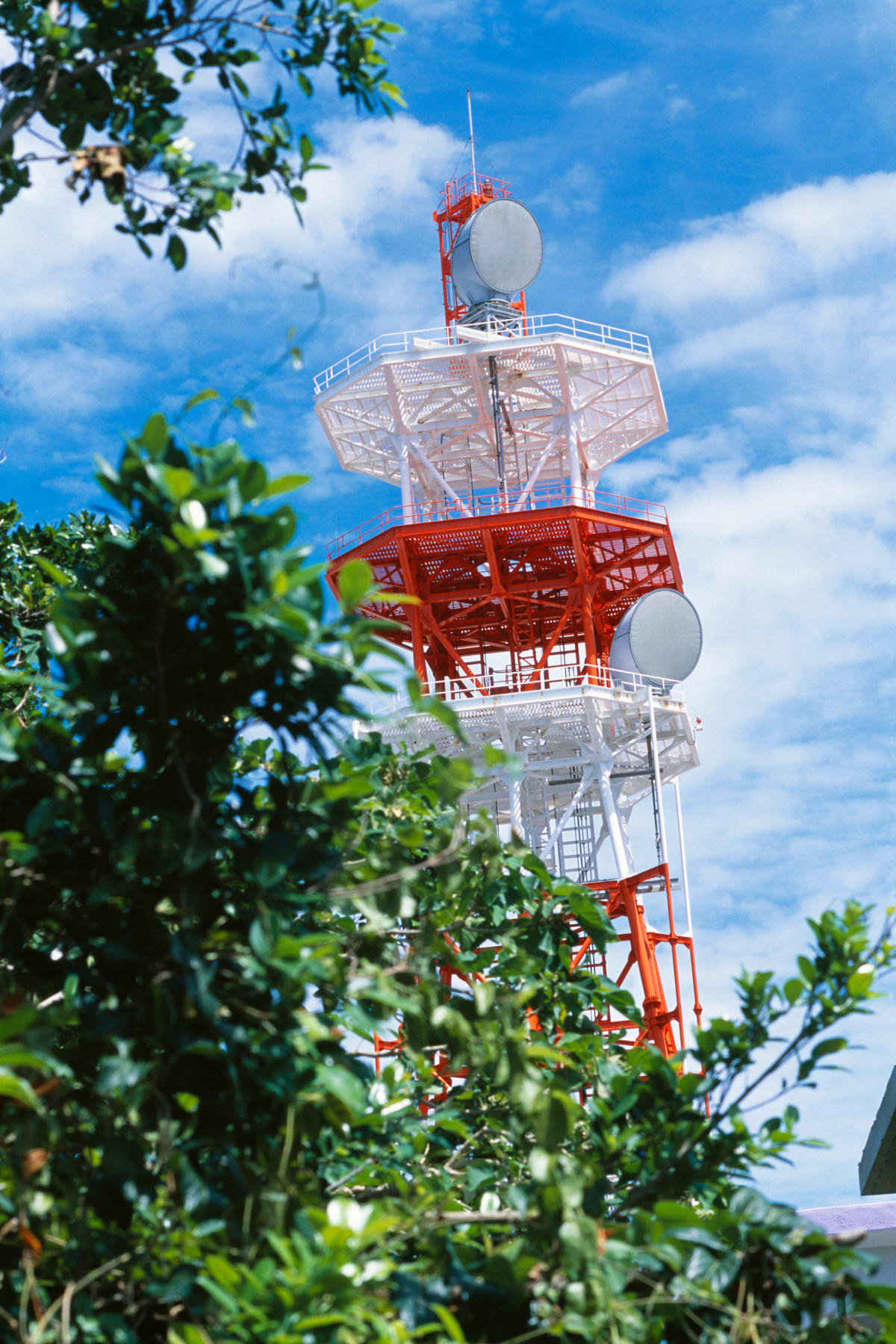 中平卓馬Nakahira Takuma - Works | Each Modern 中平卓馬Nakahira Takuma - Works | Each Modern