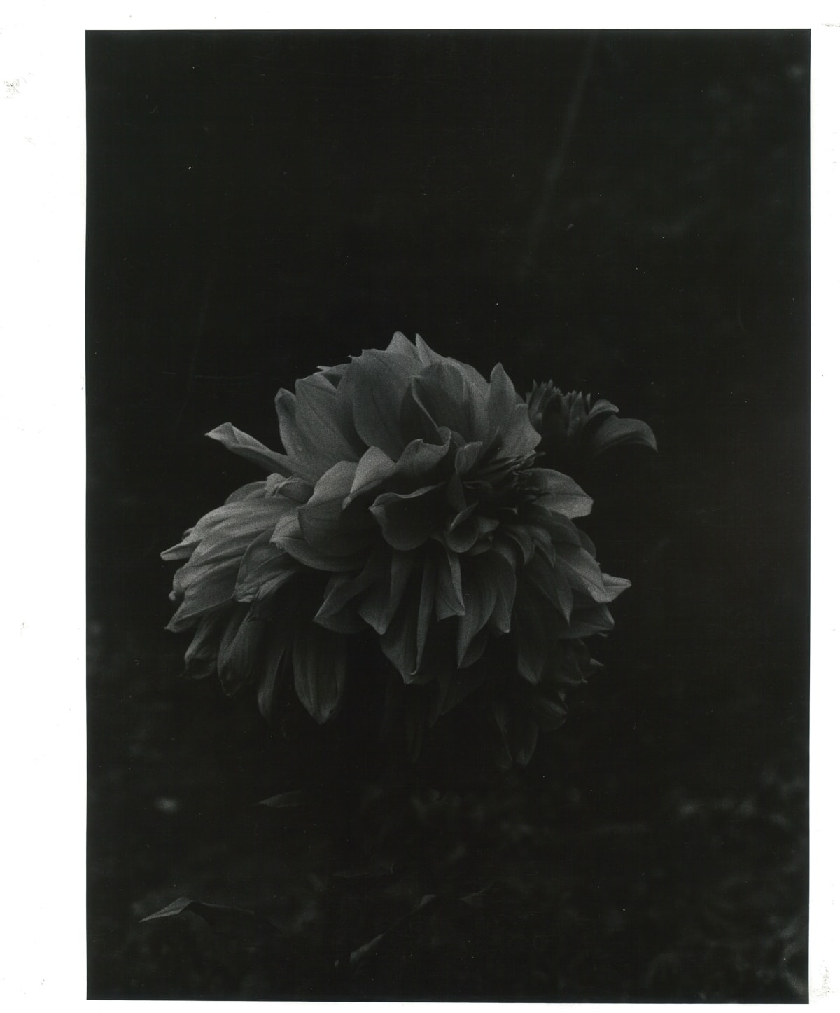 中平卓馬Nakahira Takuma - Works | Each Modern