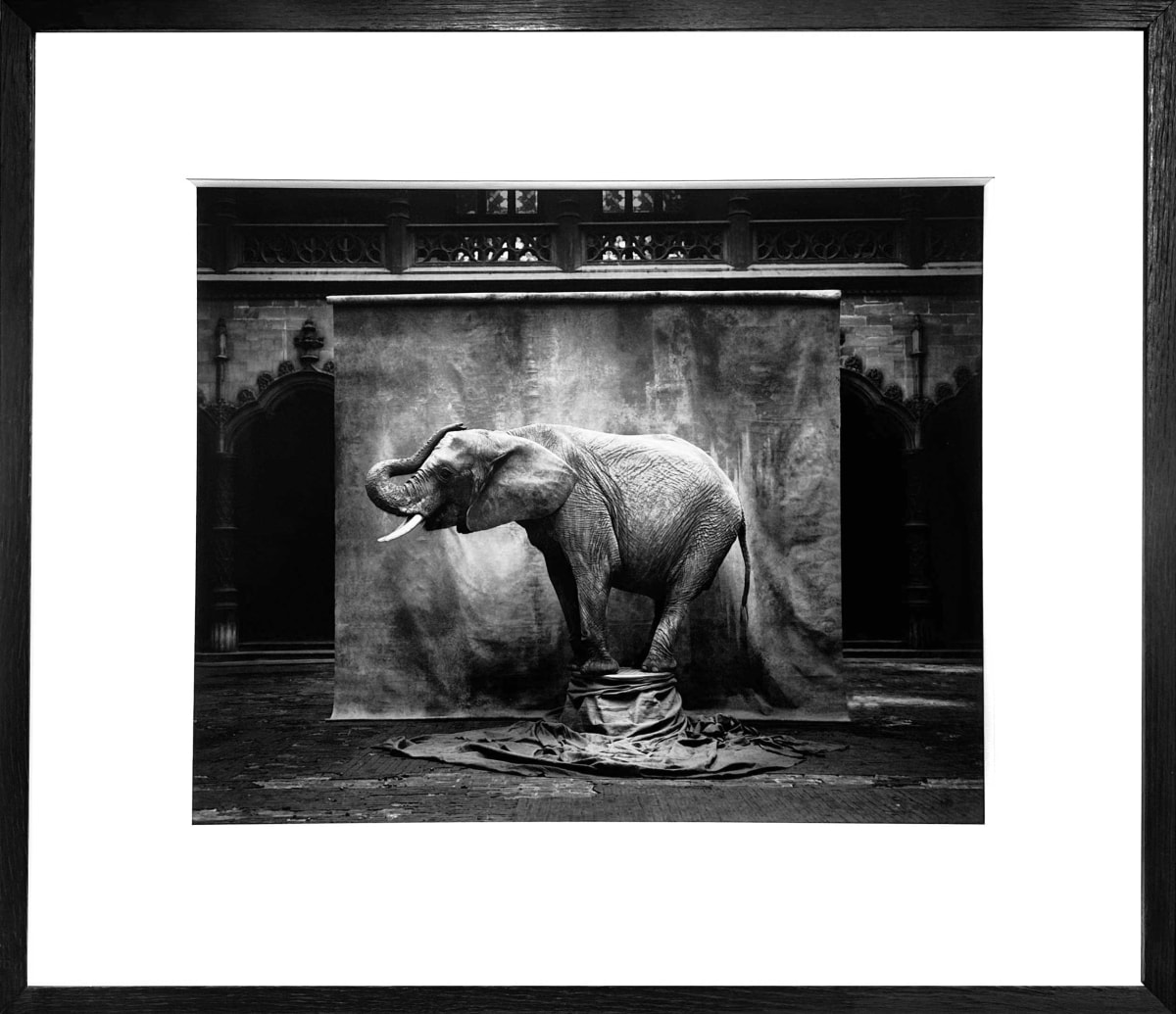 Marc Lagrange - Senza Parole | Echo Fine Arts