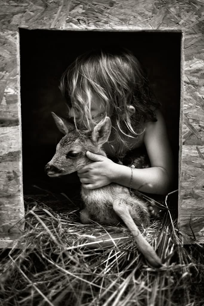 alain laboile