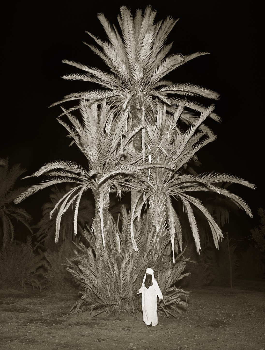 モロッコ　MAROC　/ アルバート・ワトソン　 WATSON モロッコ MAROC / アルバート・ワトソン ALBERT WATSON