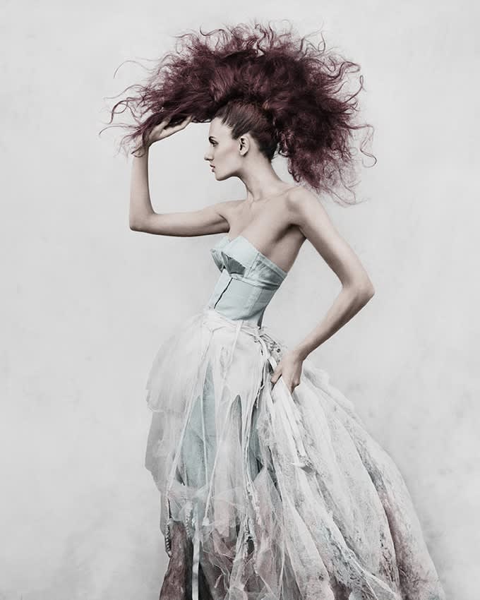 Vee Speers - Series | Echo Fine Arts