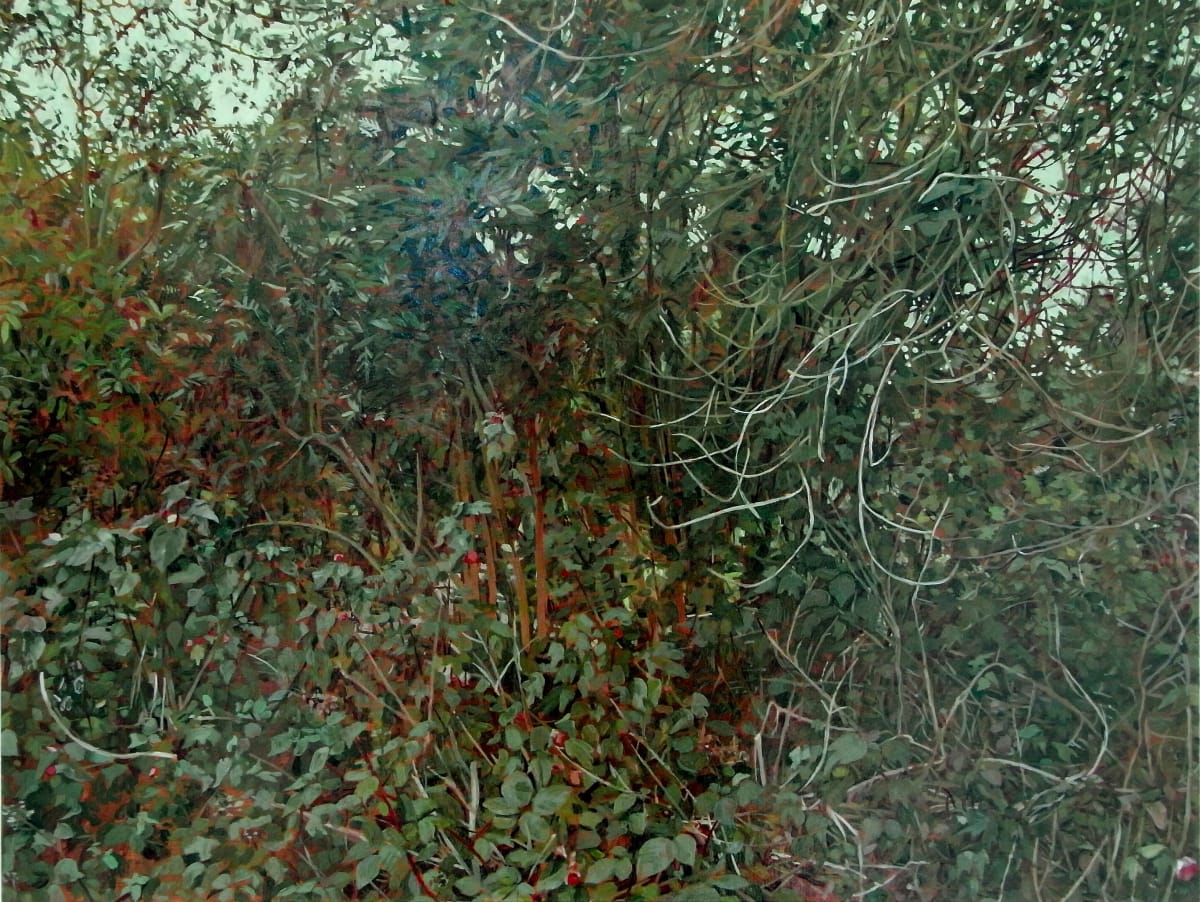 The Secret Life of Plants