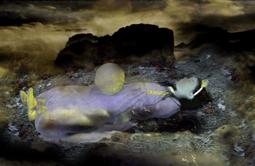 Annelies Strba | 28 Jan - 11 Mar 2011 | Frith Street Gallery
