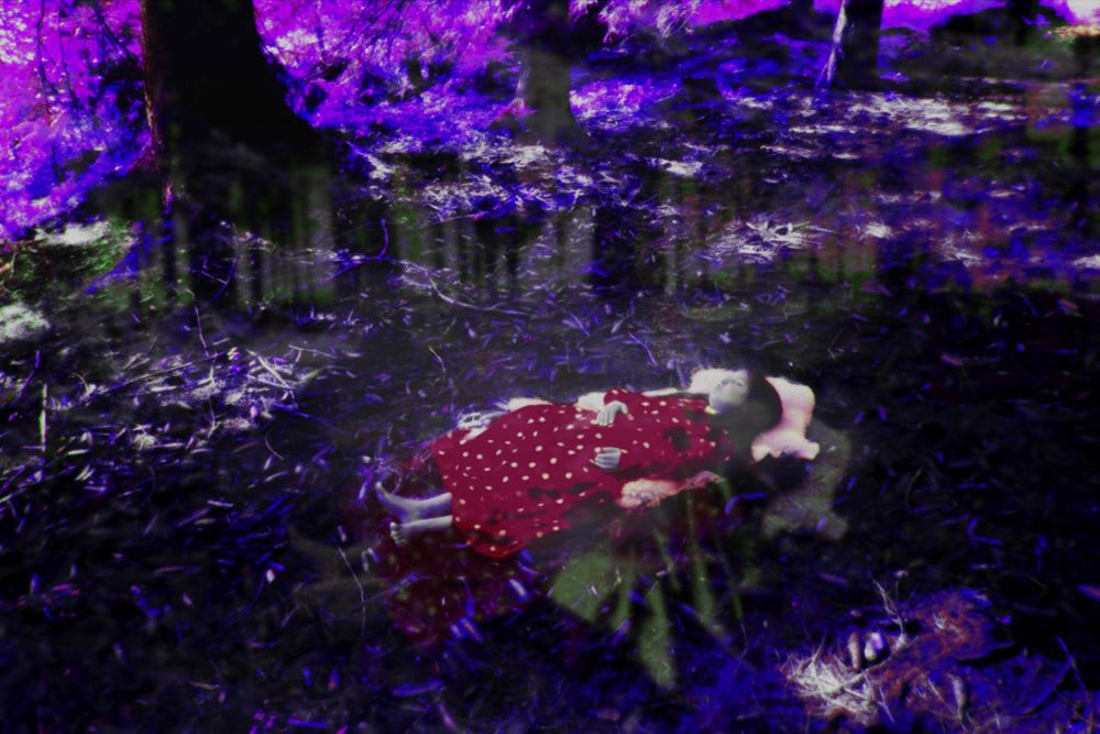 Annelies Strba | 28 Jan - 11 Mar 2011 | Frith Street Gallery
