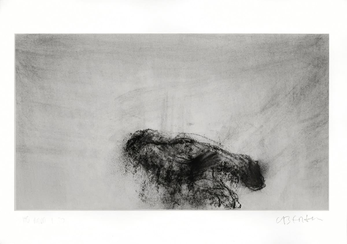 Homme-oiseau 1-30, 2022