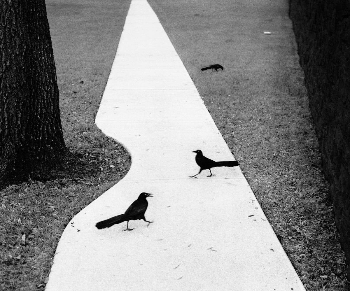Pentti Sammallahti - Here Far away | Galerie Wouter van Leeuwen