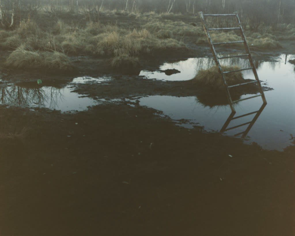 Martina Hoogland Ivanow - Series | Galleri Duerr
