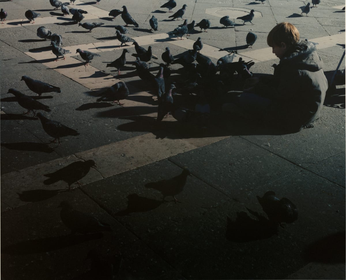 Martina Hoogland Ivanow - Series | Galleri Duerr Martina Hoogland Ivanow - Series | Galleri Duerr