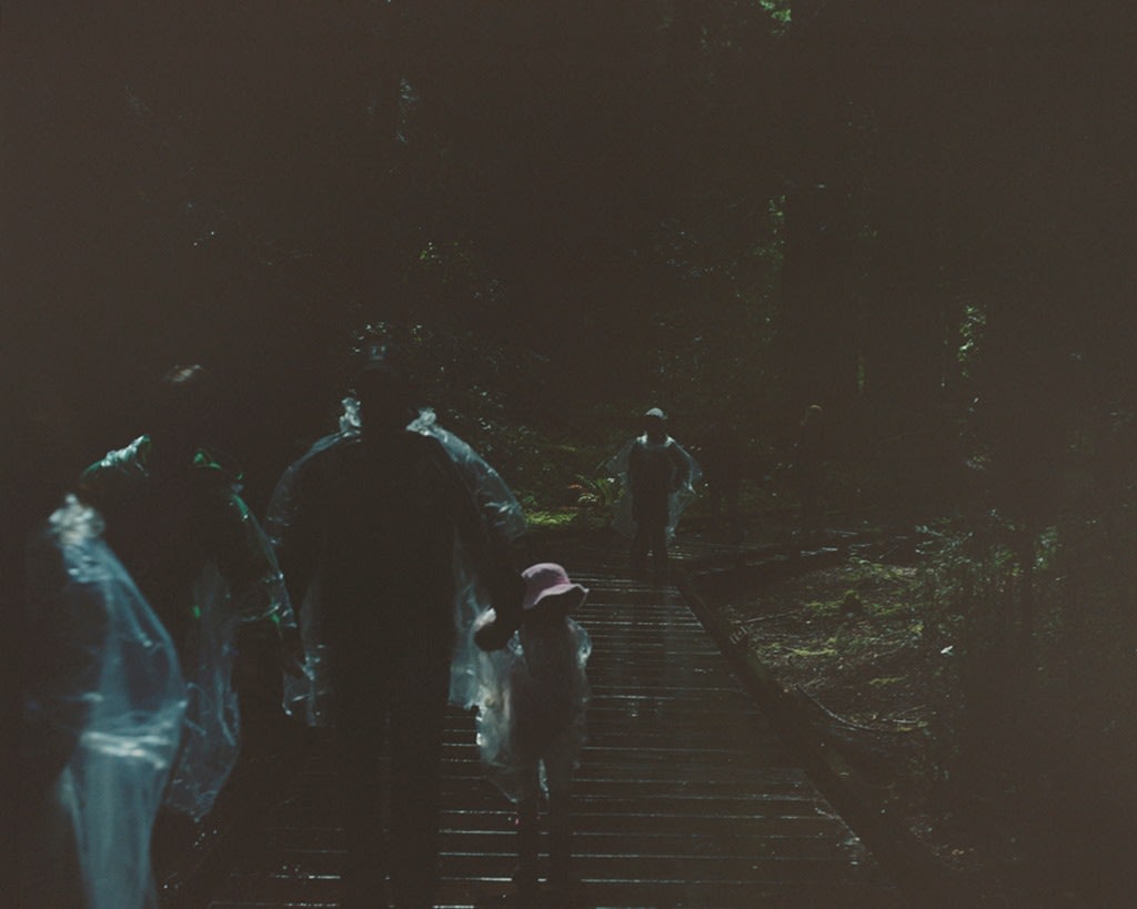 Martina Hoogland Ivanow - Series | Galleri Duerr Martina Hoogland Ivanow - Series | Galleri Duerr