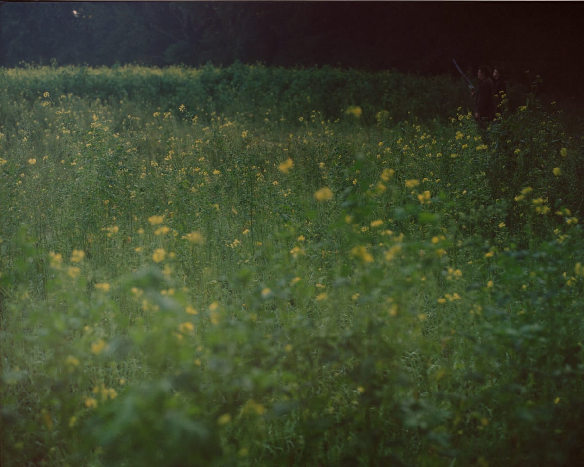 Martina Hoogland Ivanow - Series | Galleri Duerr Martina Hoogland Ivanow - Series | Galleri Duerr