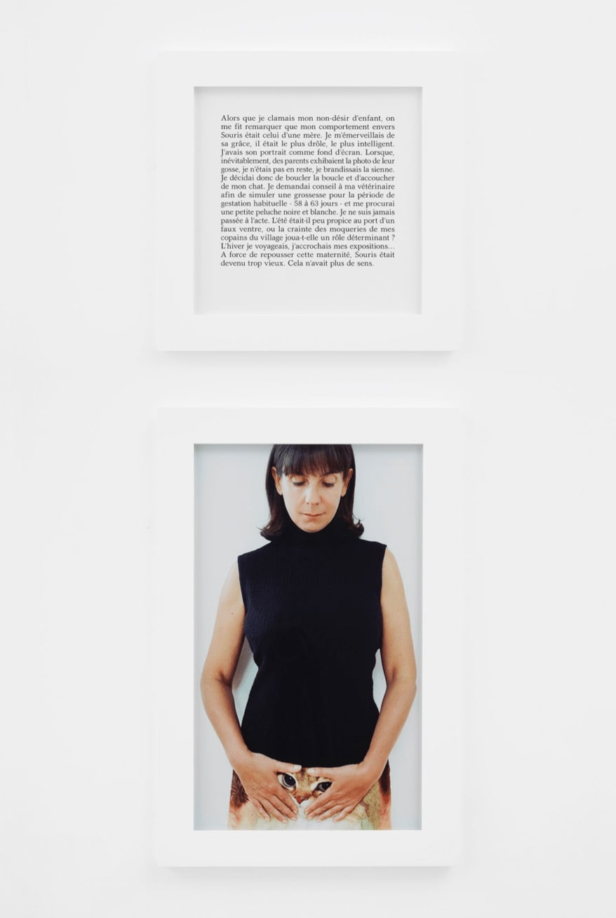 Sophie Calle | Wilson Saplana Gallery