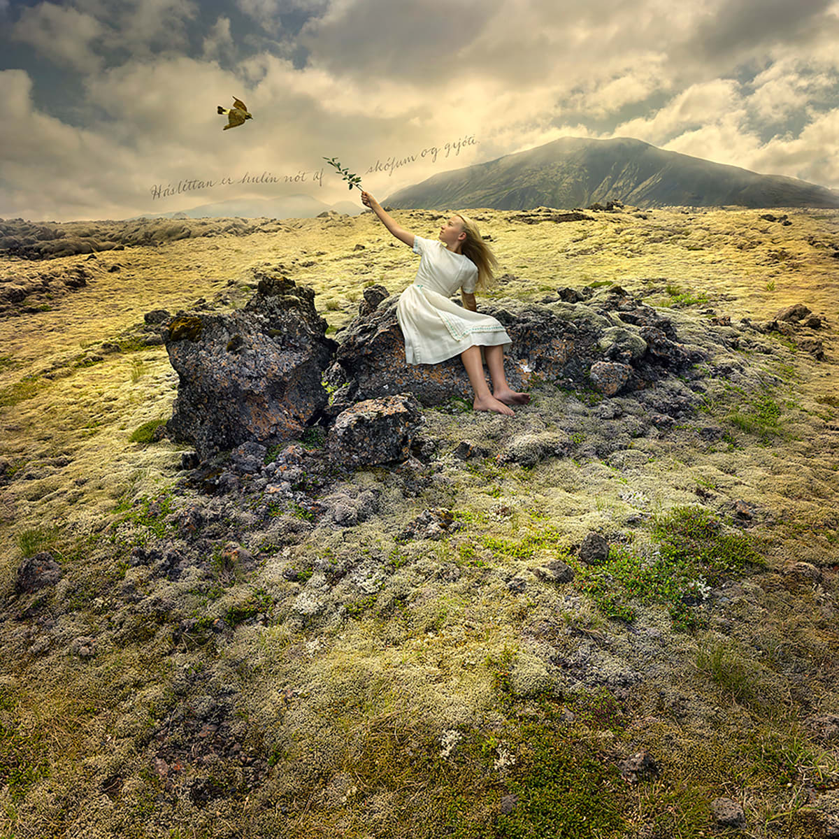 Tom Chambers photography  Gilman Contemporary Sun Valley, ID