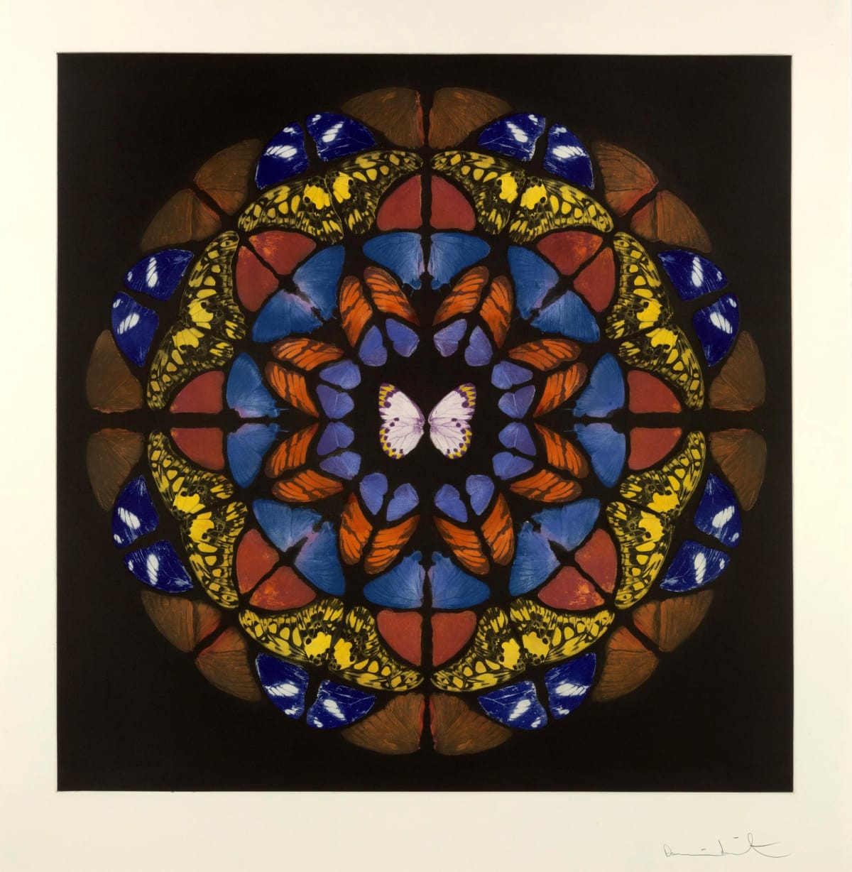 Buy Damien Hirst Art | Gormleys Gallery