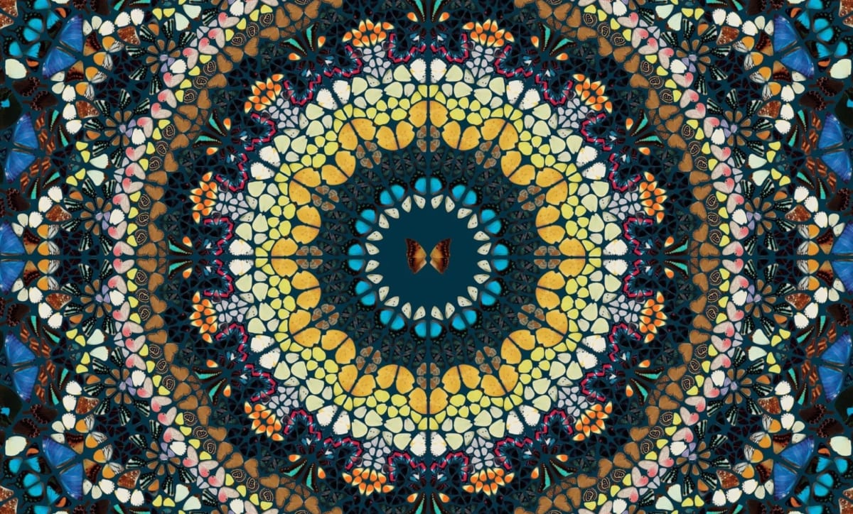 Guitar Photo by Damien Hirst – Artchive