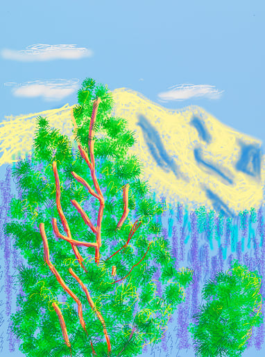 David Hockney, The Yosemite Suite No. 9, 2010 | Guy Hepner