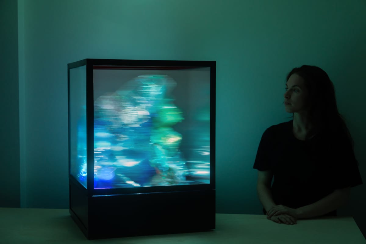 Maja Petrić | Specimen of Time | 15 . 28 MAY | HOFA Gallery (House of Fine  Art)