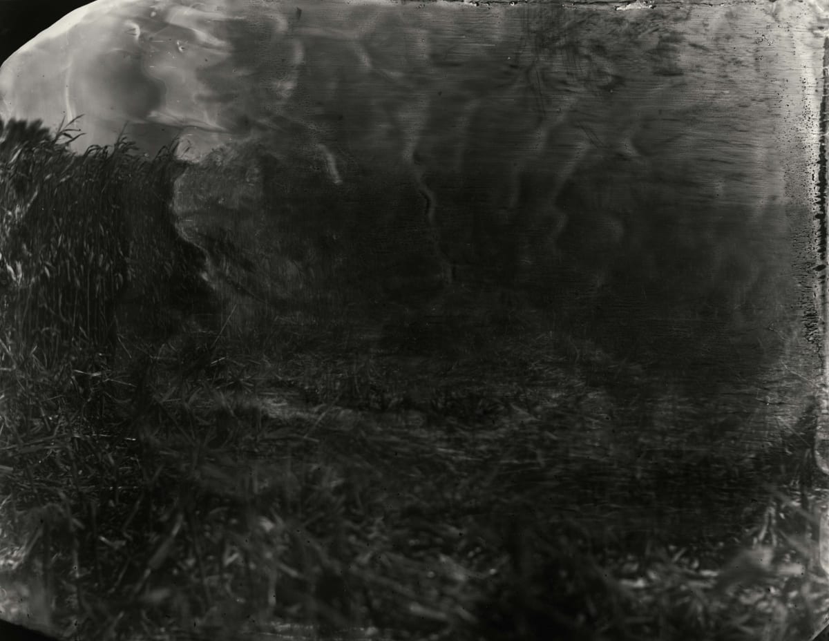 Works - Sally Mann: Last Measure | Edwynn Houk Gallery