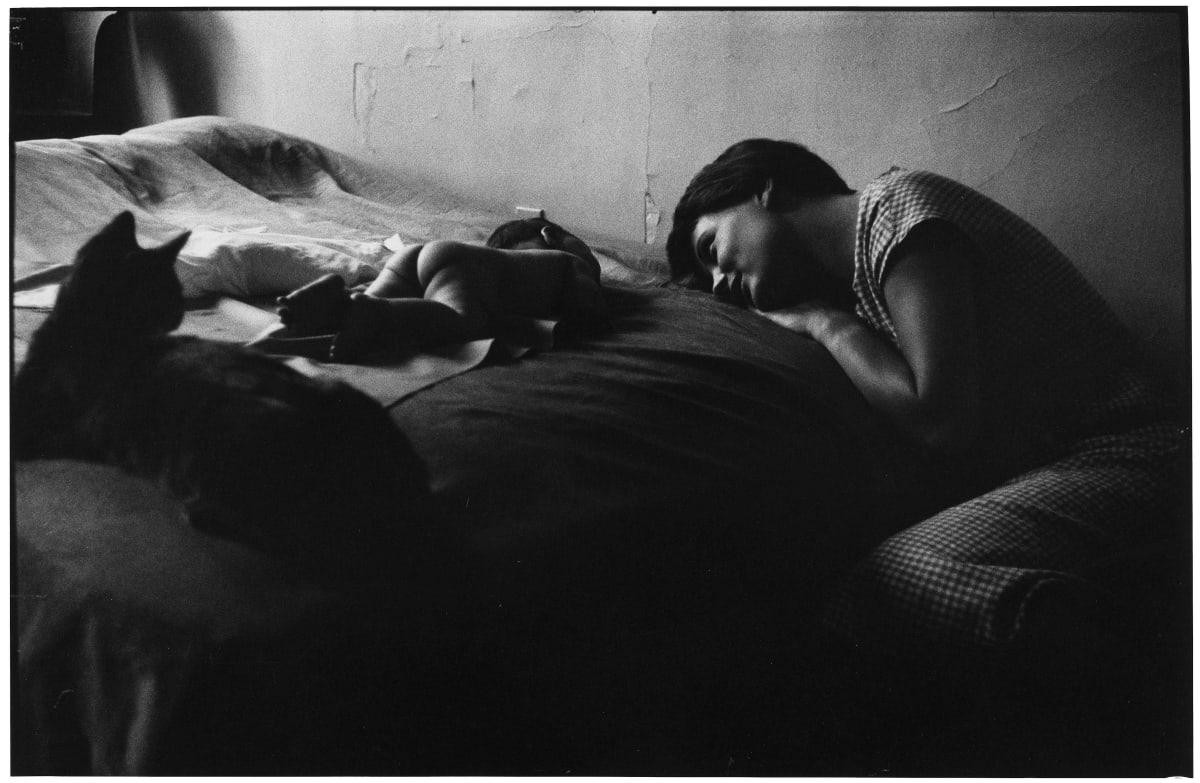 Elliott Erwitt | Edwynn Houk Gallery