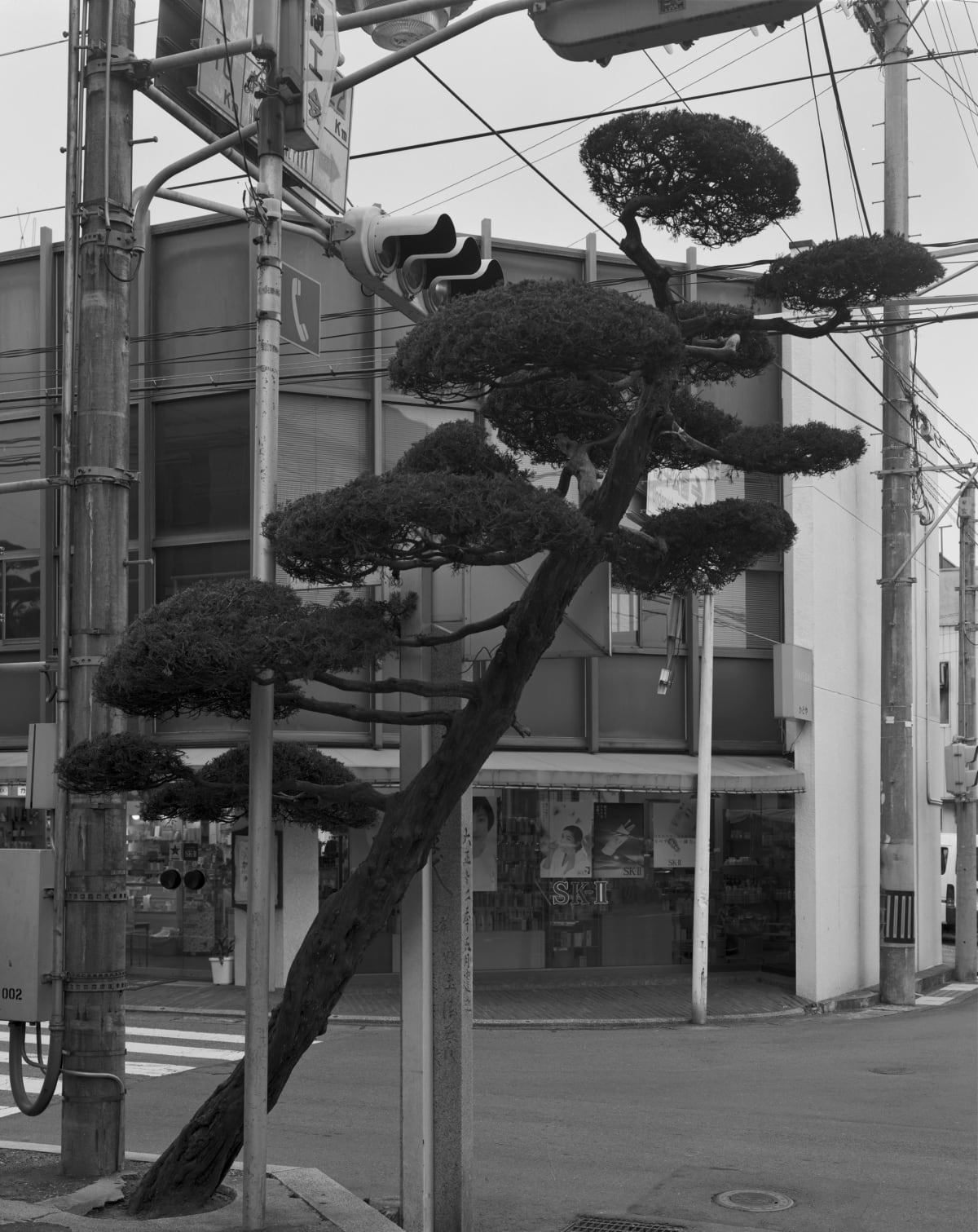 Works - #69 Tokyo/Ehime - Gerry Johansson | IBASHO